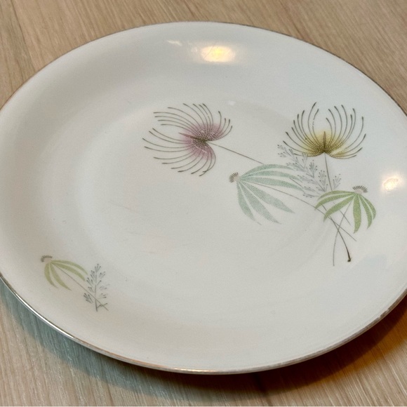 Vintage Bavaria Tirschenreuth Plate – White w/ Floral Design, Silver Rim, Rare - Picture 6 of 16